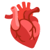 :anatomical_heart: