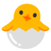 :hatching_chick: