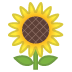 :sunflower: :sunflower: