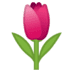 :tulip: :tulip: