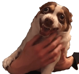 Mr%20bubz%20angery%20demon