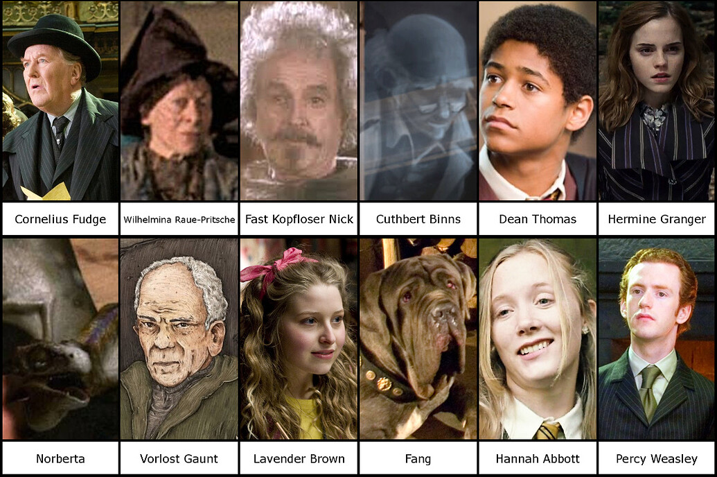 Welcher Harry Potter Charakter Bin Ich