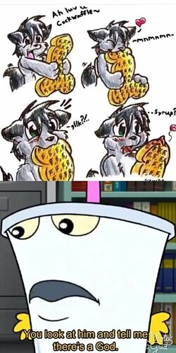 Secretly-everyone-is-a-furry