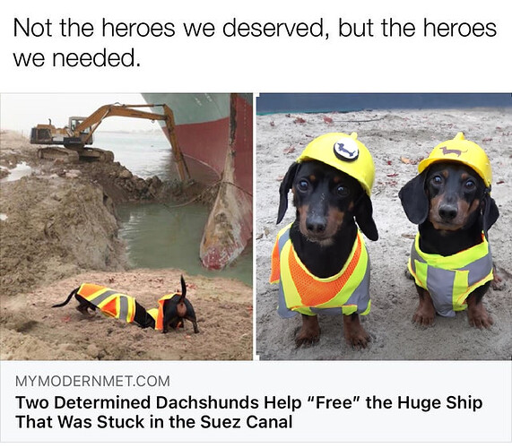 the-real-heroes_o_3377699730008642