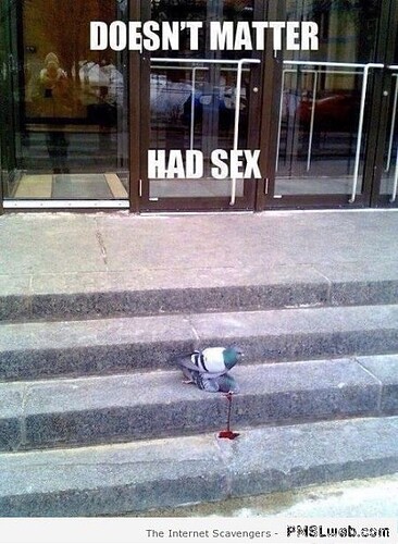 27-pigeon-doesn-t-matter-had-sex-meme