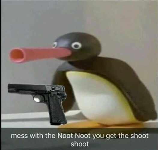 noot noot means shoot shoot