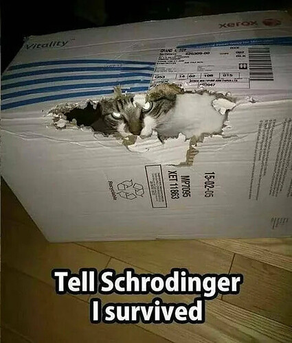 Schrödingers Katze hat überlebt