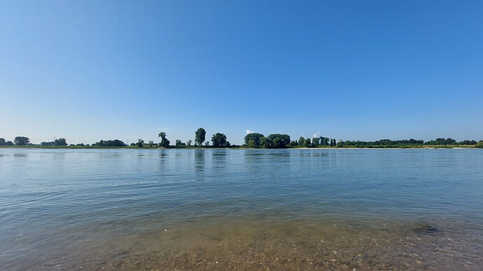 Rhein