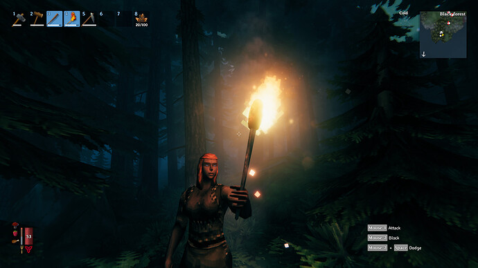 Valheim_2021.05.24-00.26