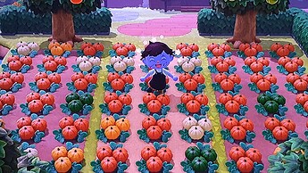 1601828974940535495836946384884