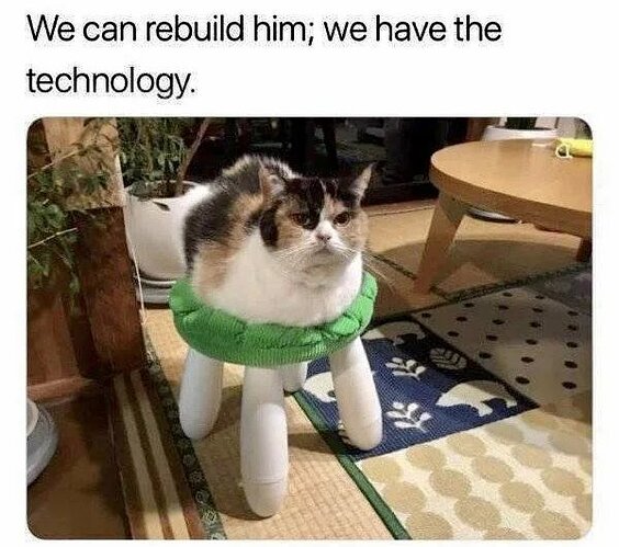 I-repaired-my-cat-after-he-lost-his-legs-during-Vietnam-War