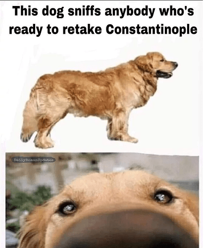 ConstantinopleDog