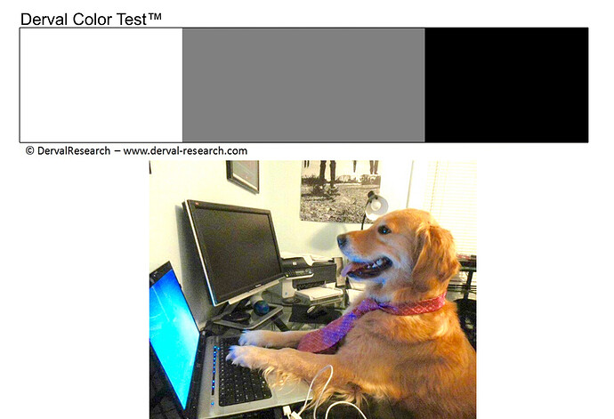 dogtest