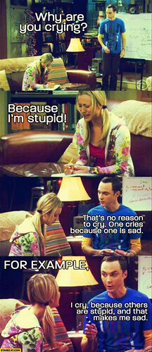 i-cry-because-others-are-stupid-and-that-makes-me-sad-big-bang-theory