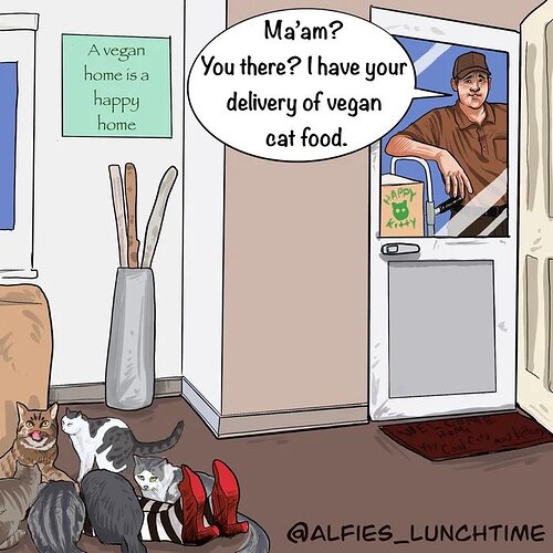 Vegan-cat