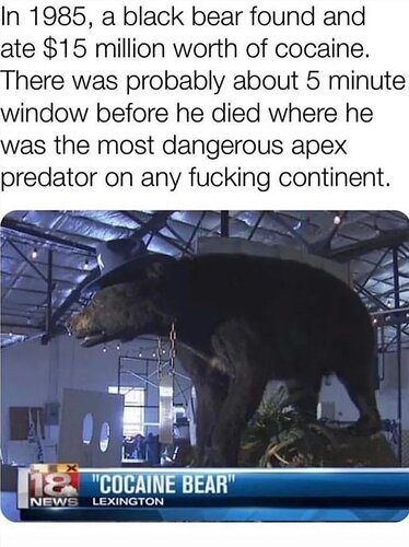 See-how-this-bear-became-a-dangerous-apex-predator-with-one-simple-trick