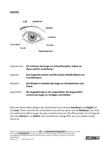 515-Probe-HSU-kostenlos-Grundschule-Auge-klasse-3-3