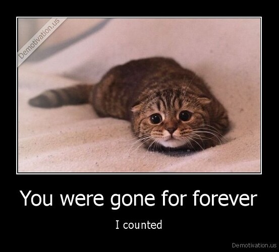 us_You-were-gone-for-forever-I-counted_139720016055