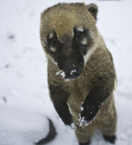 Zoo-BEST1-3-1000px