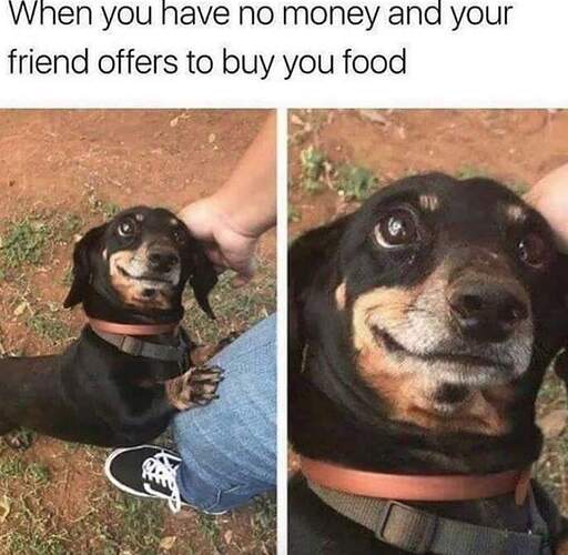 92516020_2640020436240408_7335661497114165248_o