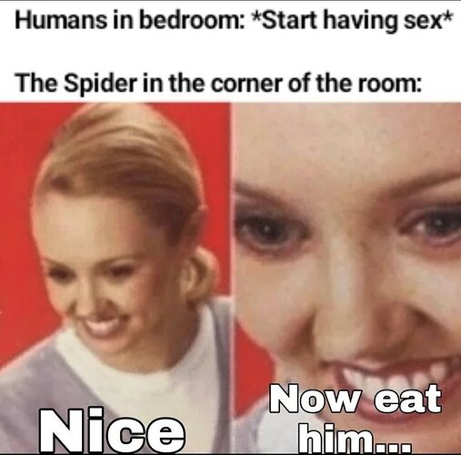 Just-spider-things