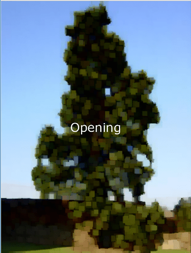 opening_op1