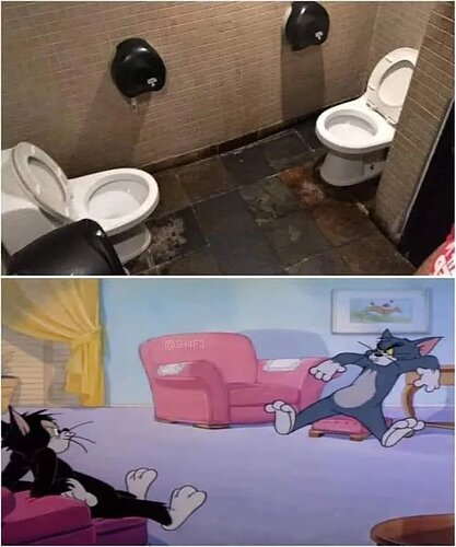 Couples-toilet-