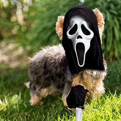 Ghostface Terrier