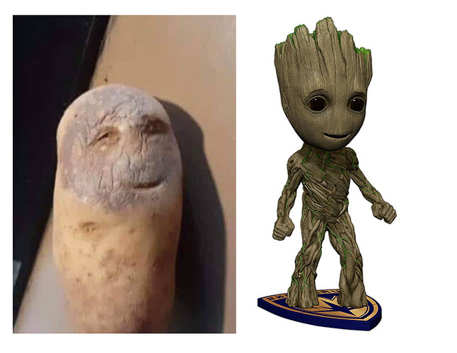 potatoegroot