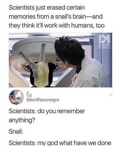 snail