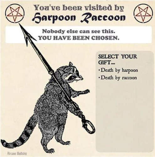 racoon.PNG