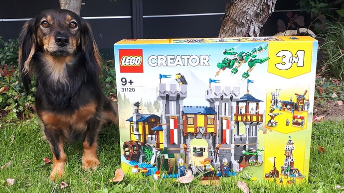 LEGO Creator Mittelalterliche Burg