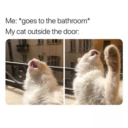 goes-to-the-bathroom