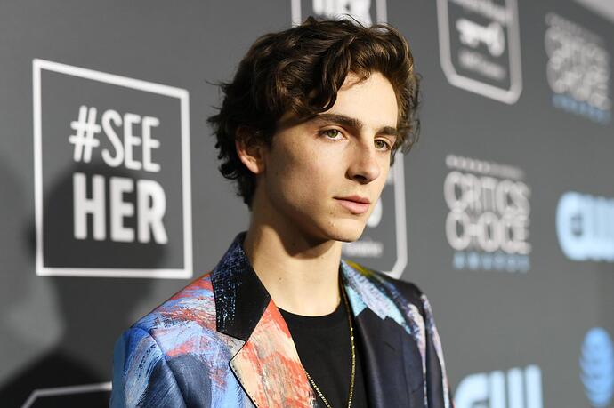 timothe-chalamet