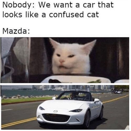 catzda