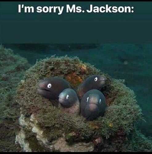 ms%20jackson