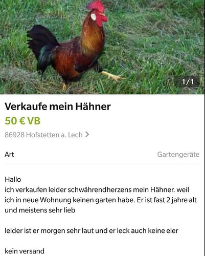 grafik