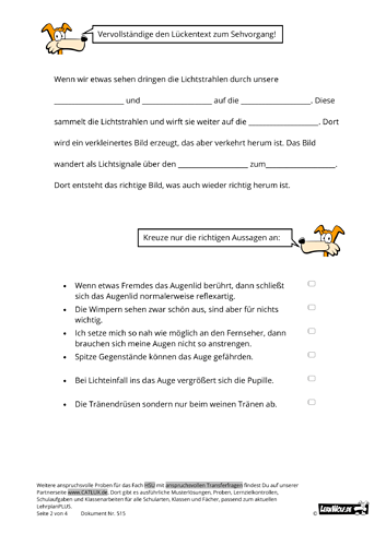 515-Probe-HSU-kostenlos-Grundschule-Auge-klasse-3-2