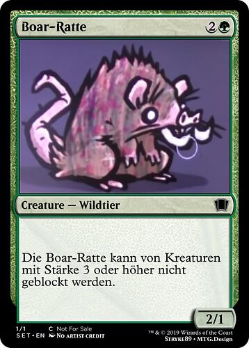 Boar-Ratte