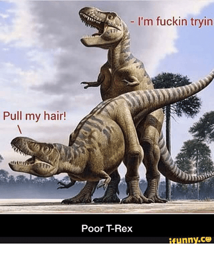 pull-my-hair-im-fuckin-tryin-poor-trex-ifunny-co-14016709