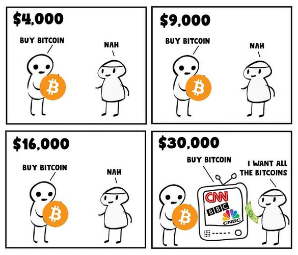 BTC meme