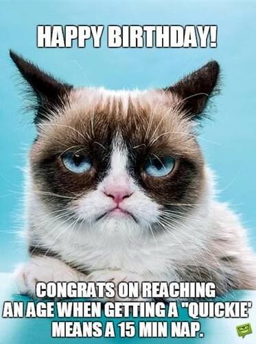 Sarcastic-birthday-meme-with-grumpy-cat-448x600