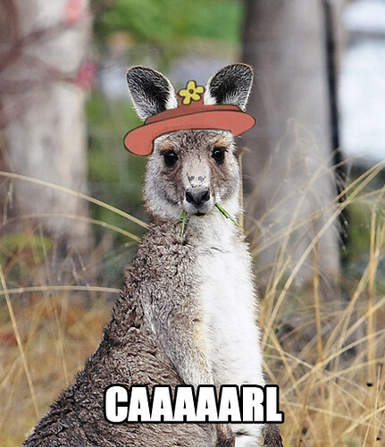 kangaroowithhat