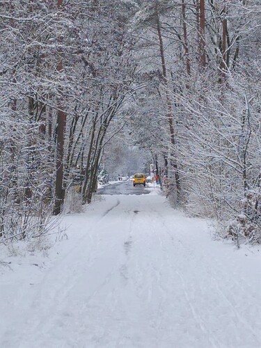 Winterspaziergang 30.01.21 f (2)