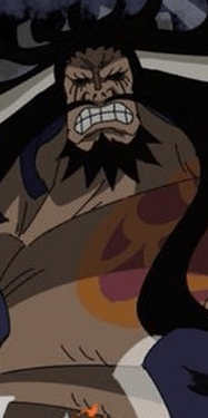 Kaido