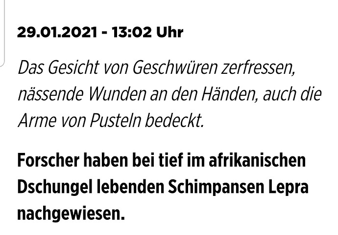 Screenshot_20210129-214508_Deutsche Zeitungen