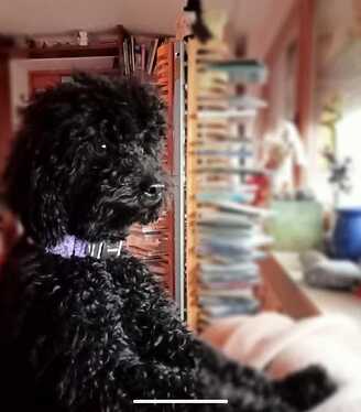 IMG-20240518-WA0022