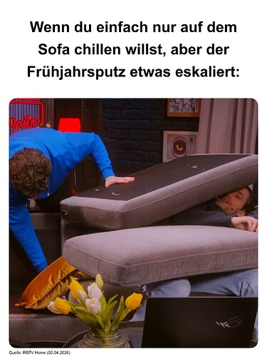 Frühjahrsputz_meme
