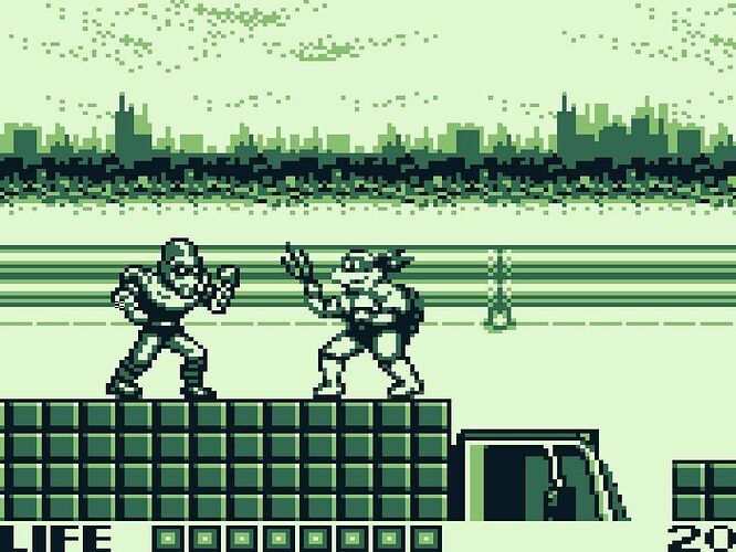 Teenage Mutant Ninja Turtles Fall of the Foot Clan