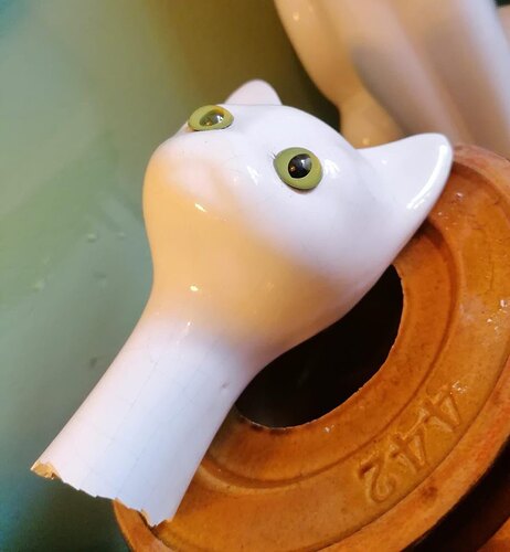 signal-2025-05-07-20-33-56-584